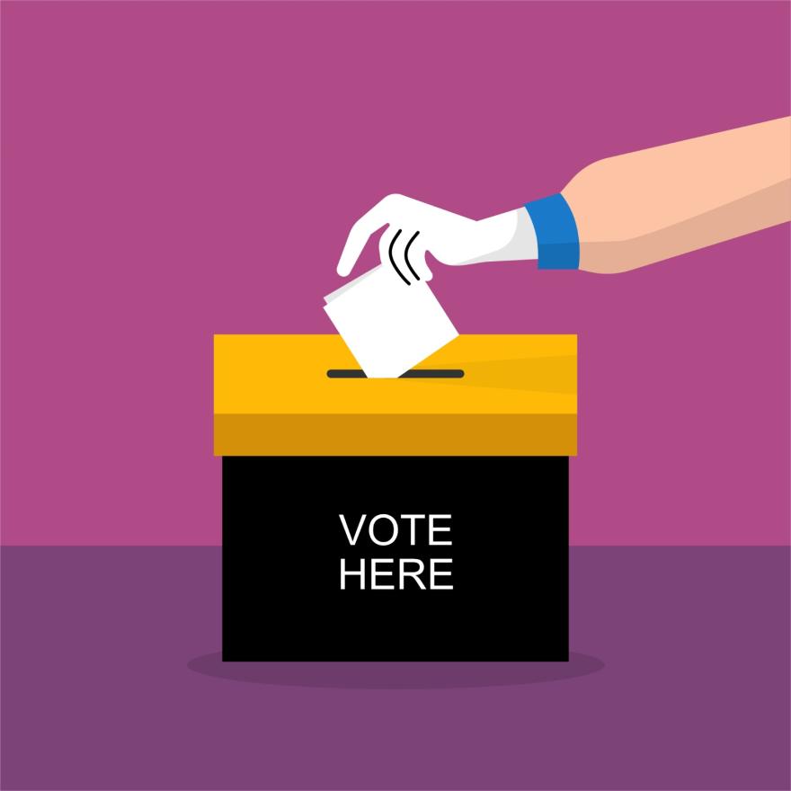 Pentingnya Pendidikan Politik  Bagi Pemilih Pemula